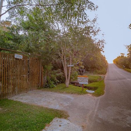 Aruana Suites Seu Refugio Entre Arvores A 5Km Da Vila De Praia Do Forte Eksteriør billede